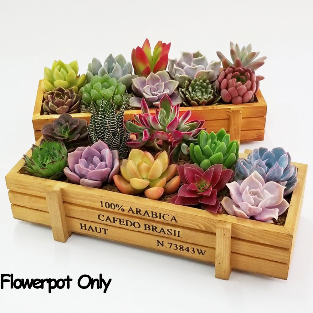 Gardening Tools Green - 1 PC Tools Garden Decor Trough