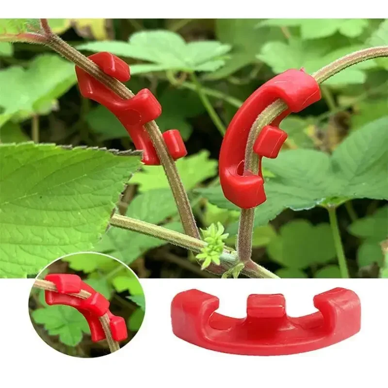 10-100Pcs Low Stress Training  - Gardening Tools Lowes recension och pris