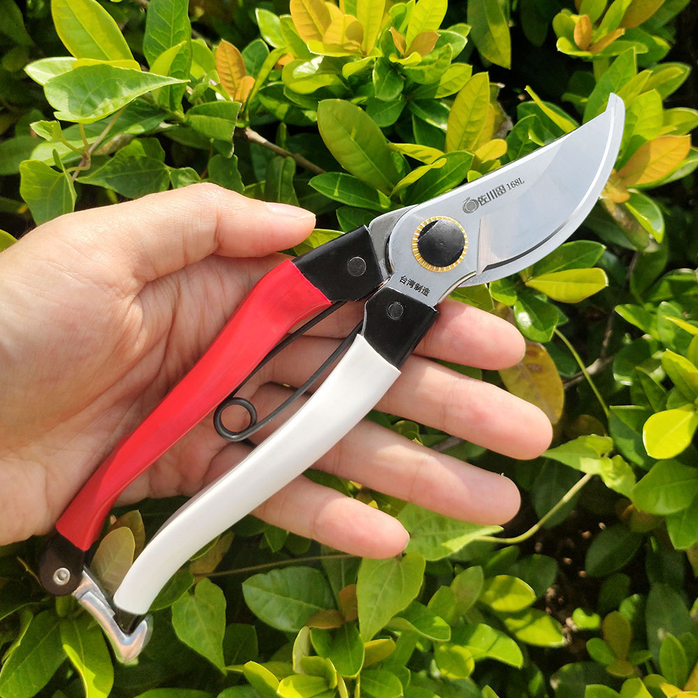 Taiwan Sakawada 168l Gardening - Gardening Tools In Japan recension och pris