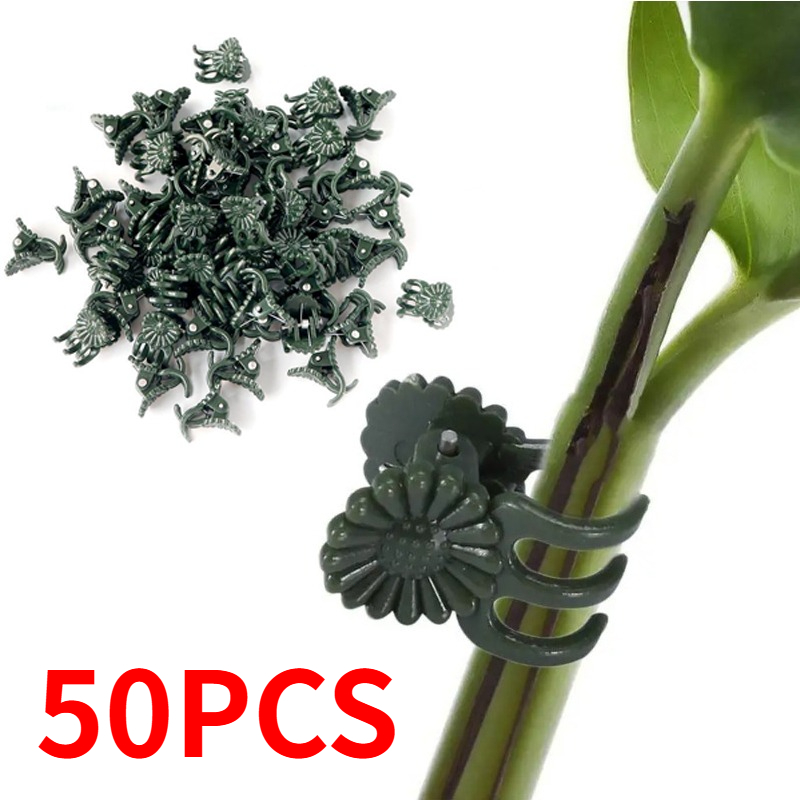 50PCS 5-Claw Dark Green Plant  - Gardening Tools Green recension och pris