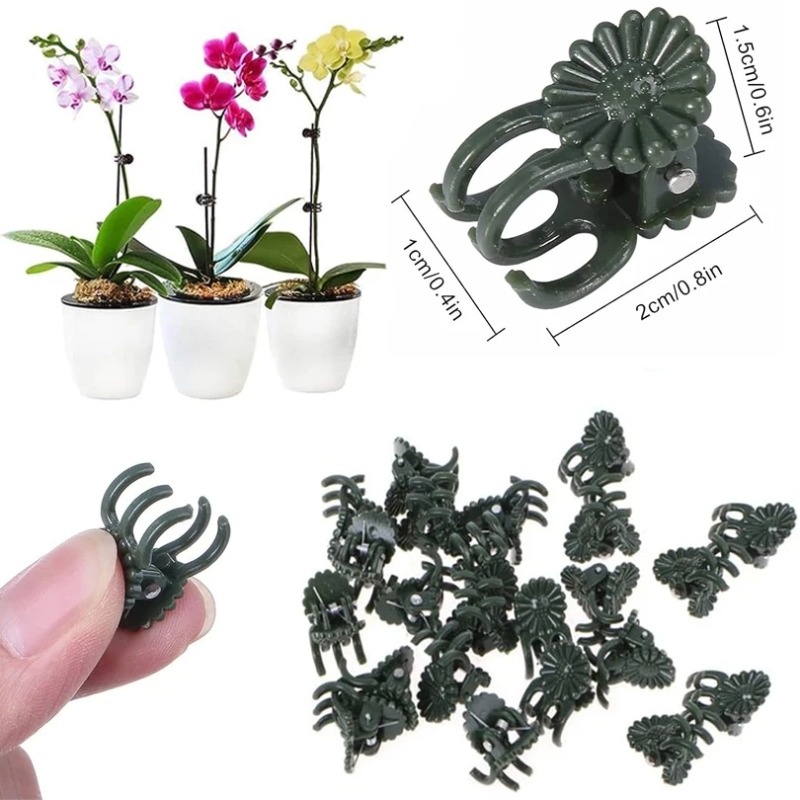 50PCS 5-Claw Dark Green Plant  - Gardening Tools Green recension och pris