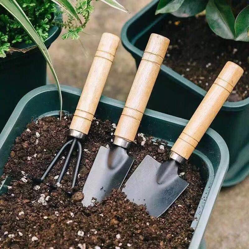 3Pcs Mini Gardening Tool Set w - Gardening Tools Shovel recension och pris