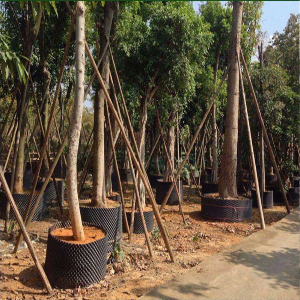 Grow Container Garden Tree Bon - Gardening Tools In recension och pris