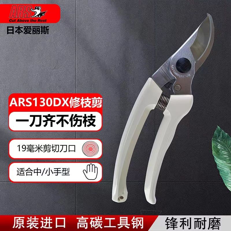 Pruning scissors, garden tools - Gardening Tools In Japan recension och pris