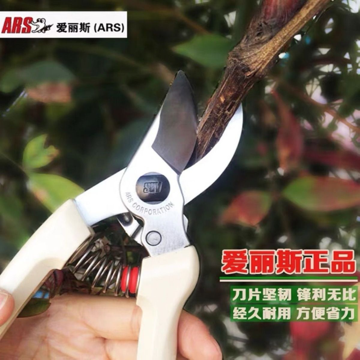 Pruning scissors, garden tools - Gardening Tools In Japan recension och pris
