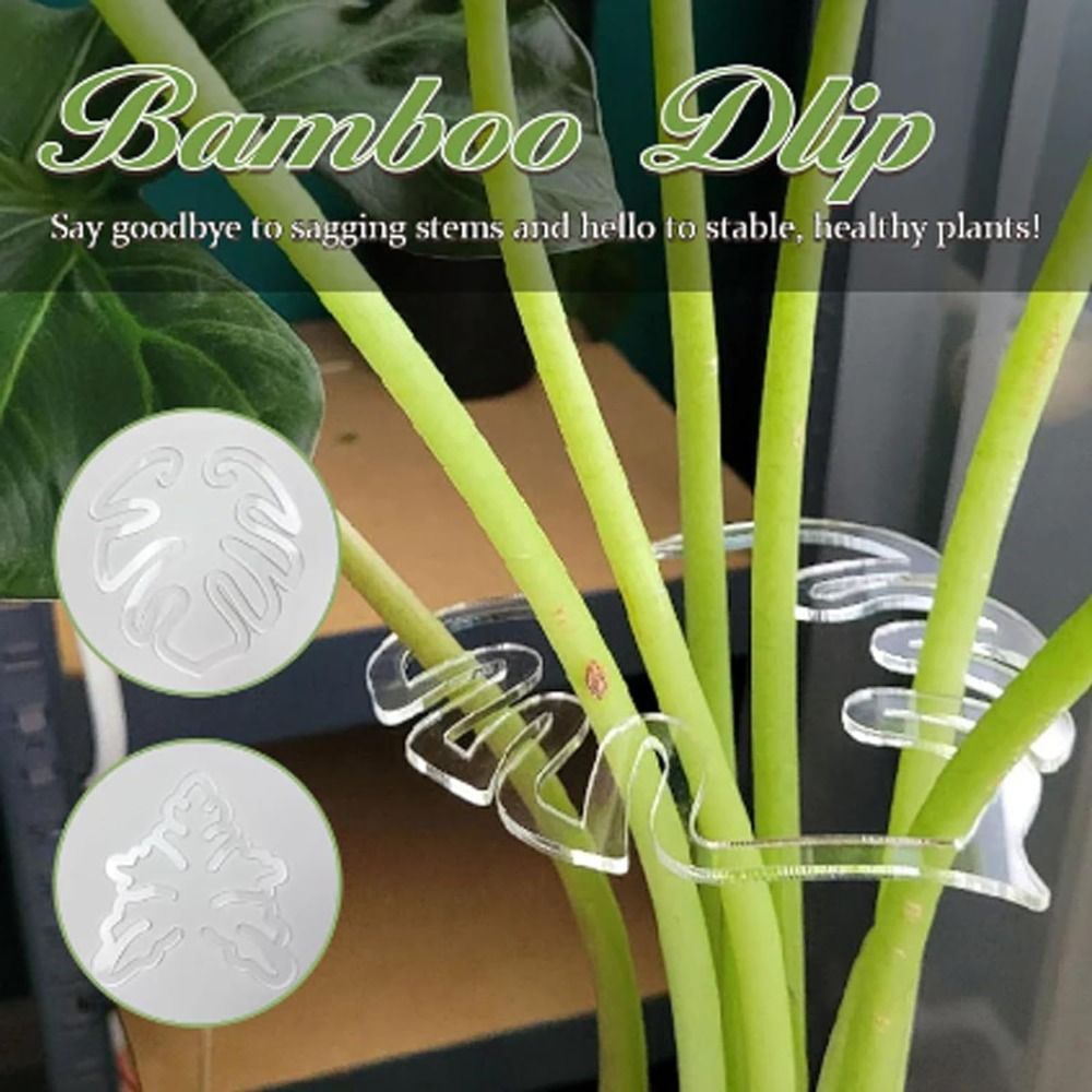 1/2PCS Reusable Turtle Shell B - Gardening Tools Wooden recension och pris