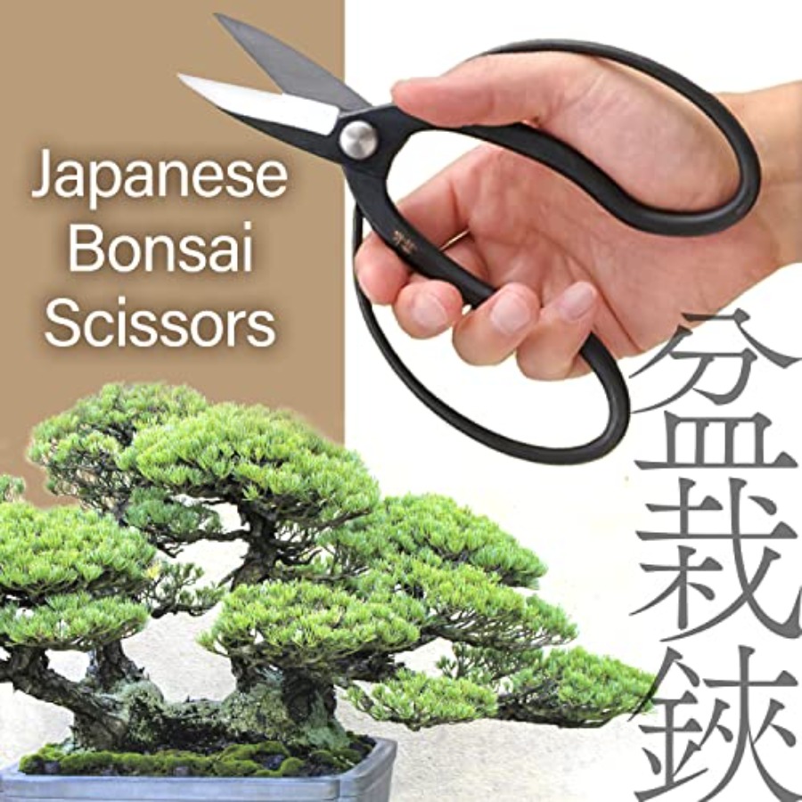 Japanese Suiryu Bonsai Scissor - Gardening Tools In Japan recension och pris