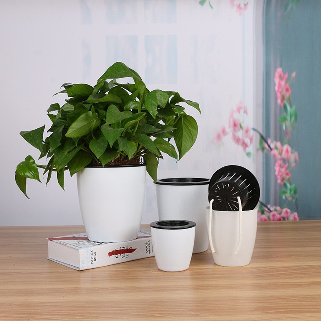 Automatic Watering Flower Plan - Gardening Tools Green recension och pris