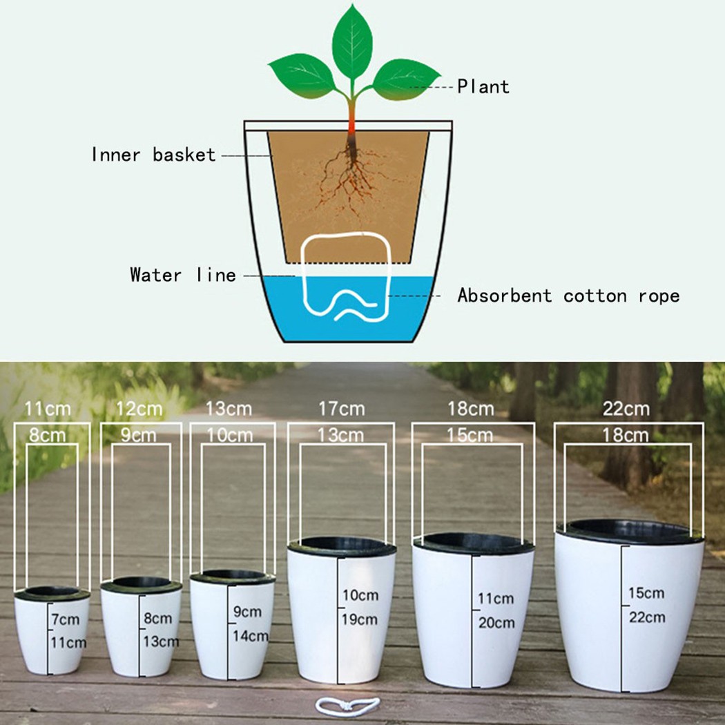 Automatic Watering Flower Plan - Gardening Tools Green recension och pris