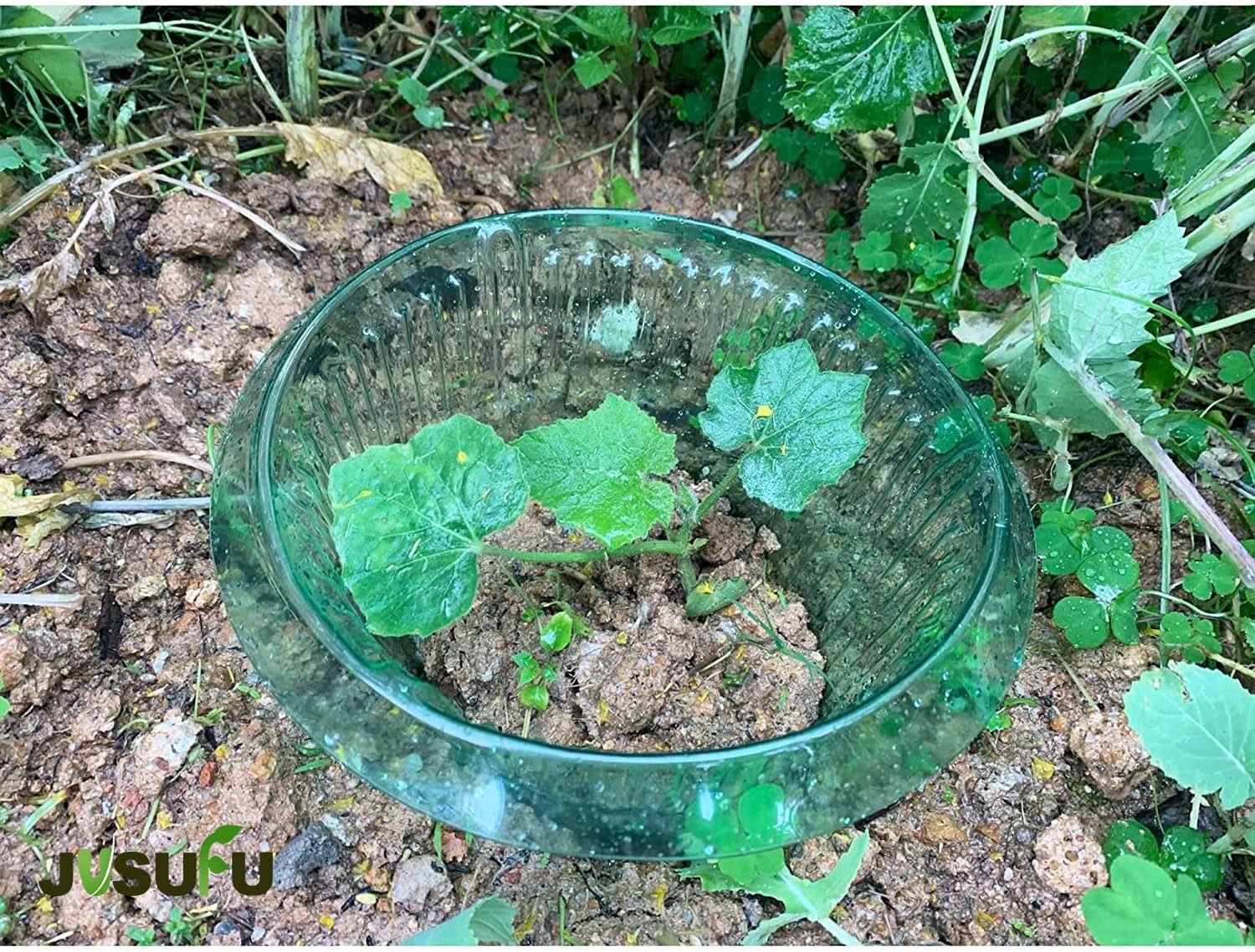 1/30pcs Plants Slug Protection - Gardening Tools Green recension och pris