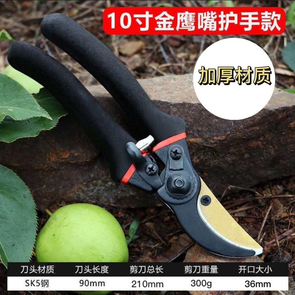 Japan Thickened SK5 Steel Bran - Gardening Tools In Japan recension och pris