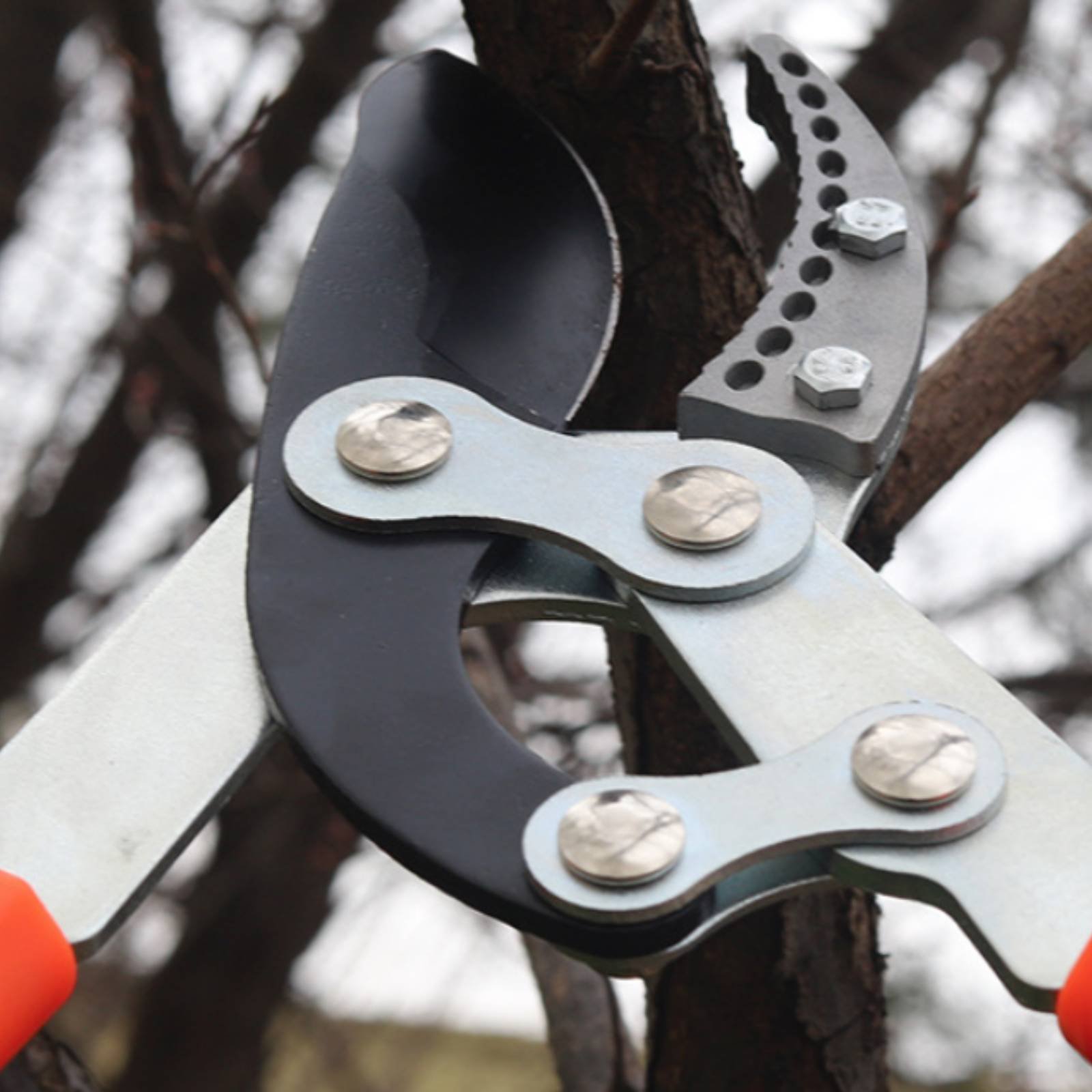 Telescopic Branch Pruners Shar - Gardening Tools In recension och pris