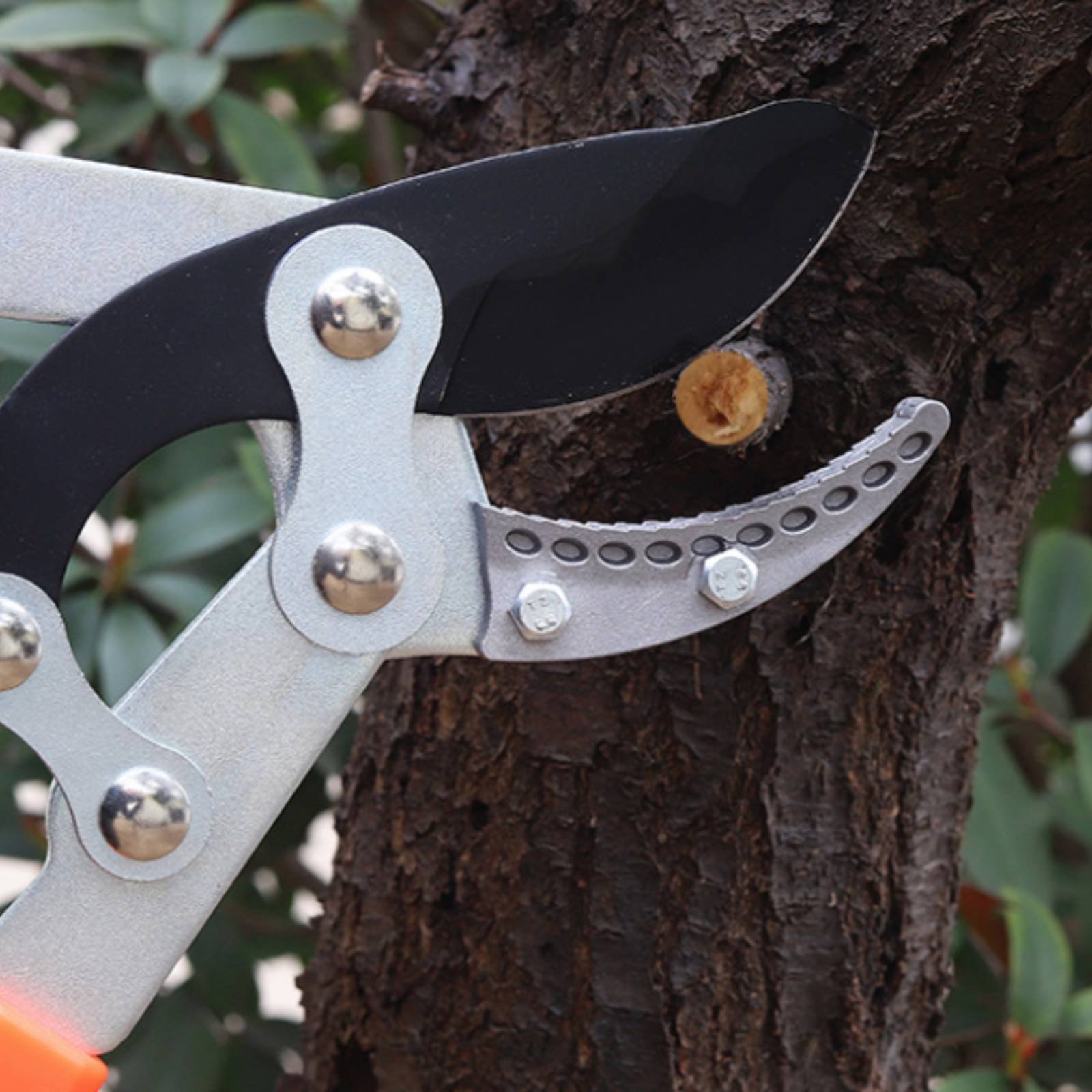 Telescopic Branch Pruners Shar - Gardening Tools In recension och pris