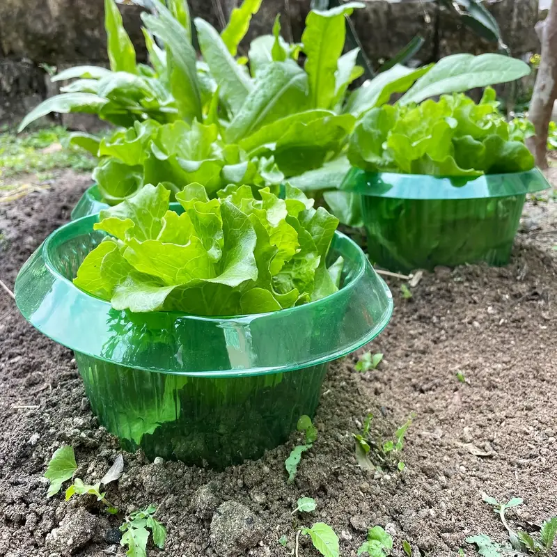 Plants Slug Protection Rings V - Gardening Tools Green recension och pris