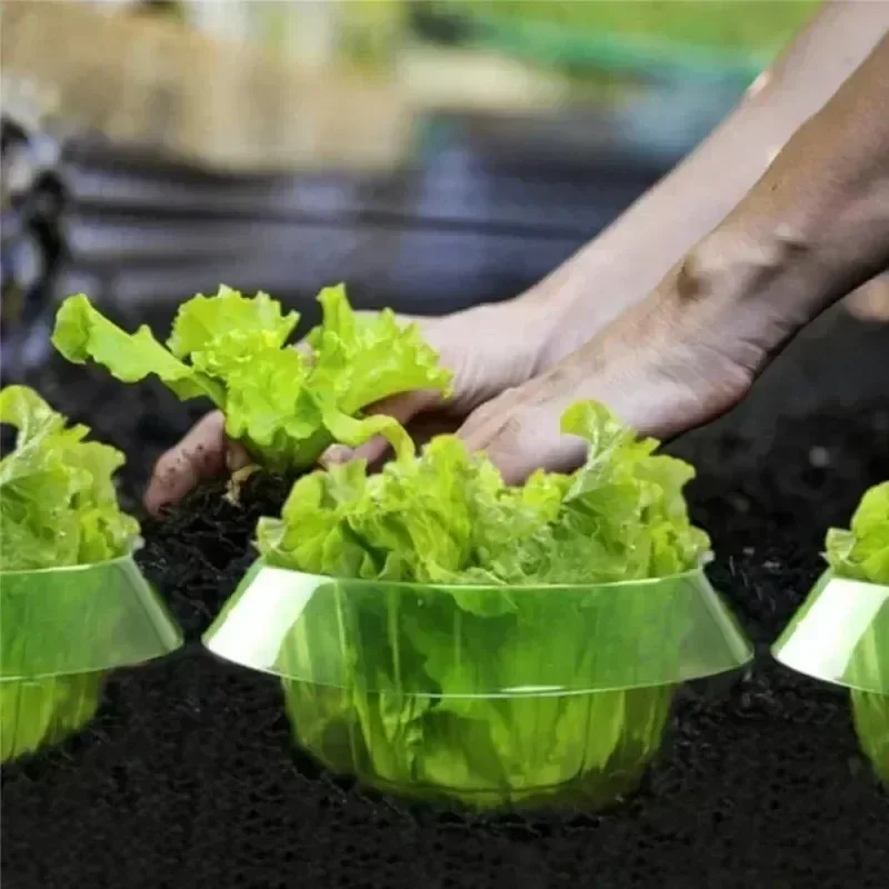 Plants Slug Protection Rings V - Gardening Tools Green recension och pris