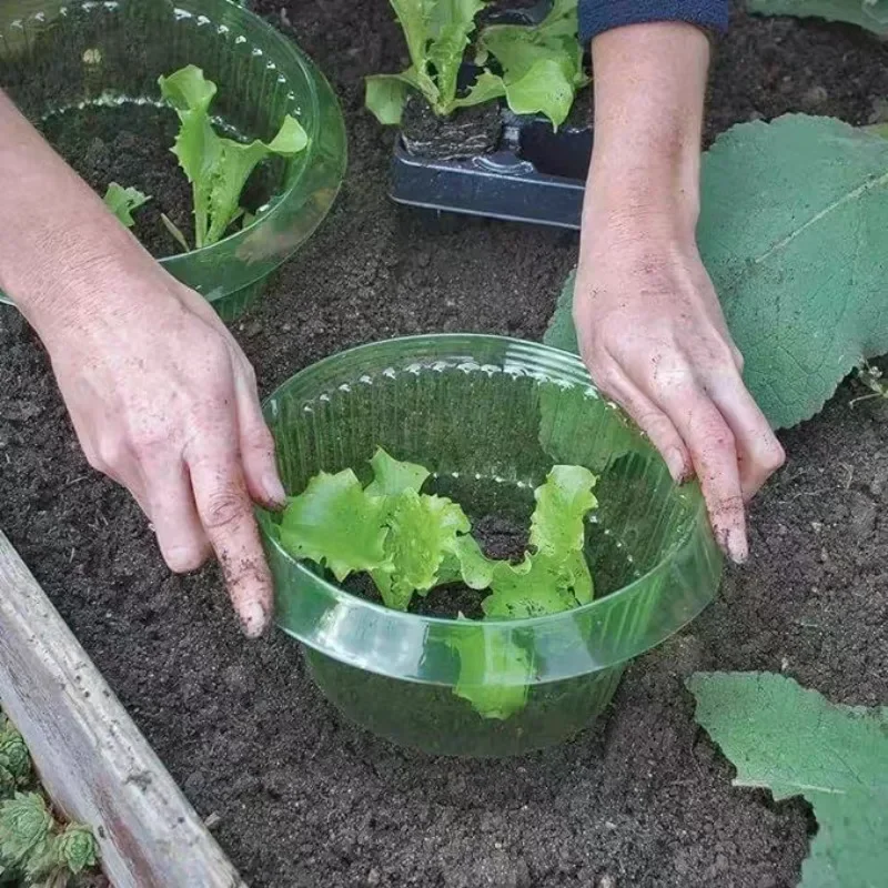 Plants Slug Protection Rings V - Gardening Tools Green recension och pris