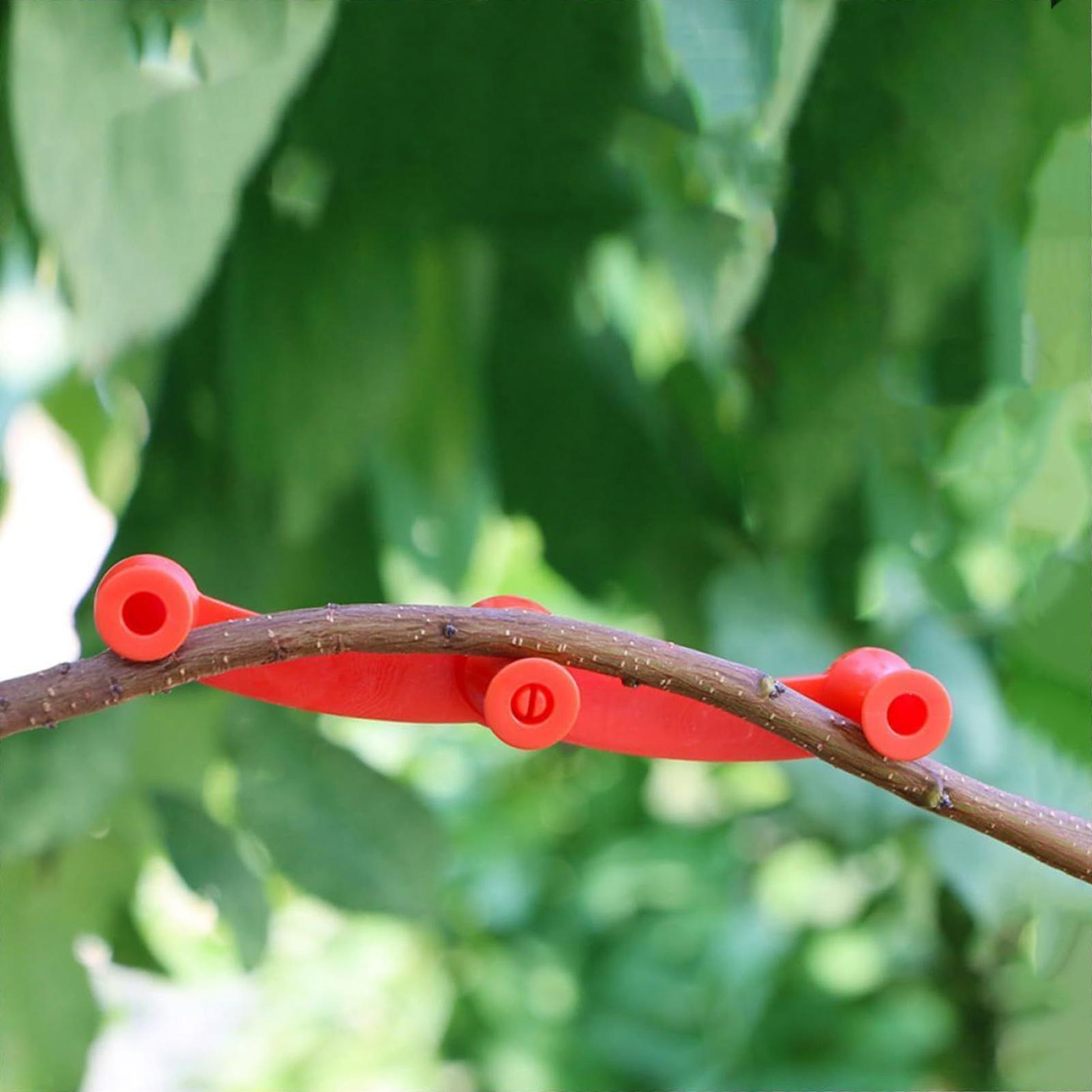 10pcs Plant Training Clips Tre - Gardening Tools Lowes recension och pris