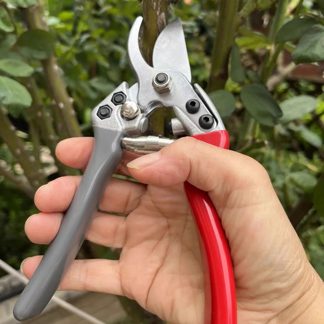 Japan Vvt New Sk5 Strong Garde - Gardening Tools In Japan recension och pris
